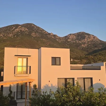 Poolside Bliss - Escape & Relax