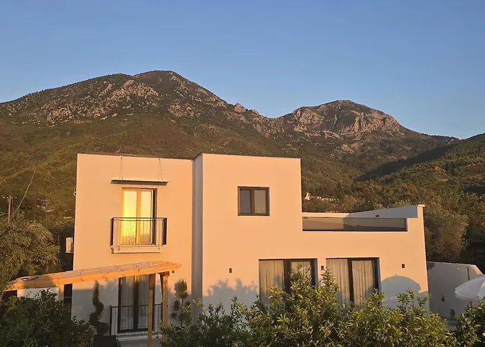 Poolside Bliss - Escape & Relax